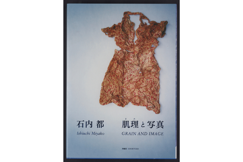 Cover of a book showing an artistic photo of a disintegrating dress.