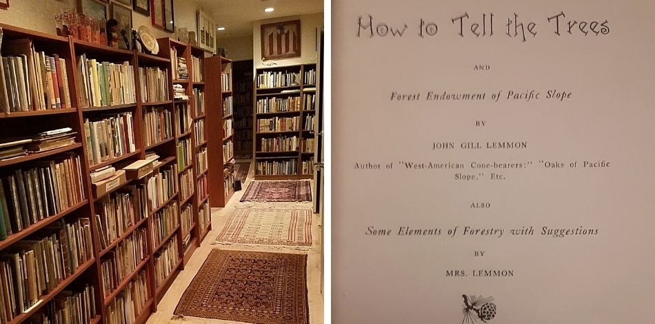 Left: A hallway with a stuffed bookcase on the left wall and rich rugs on the floor; Right: Title page reading, "How to Tell to Trees by John Gill Lemmon Also Some Elements of Forestry by Mrs. Lemmon."